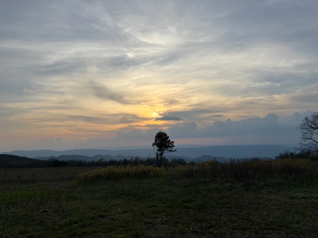 Virginia Evening — Virginia, USA.